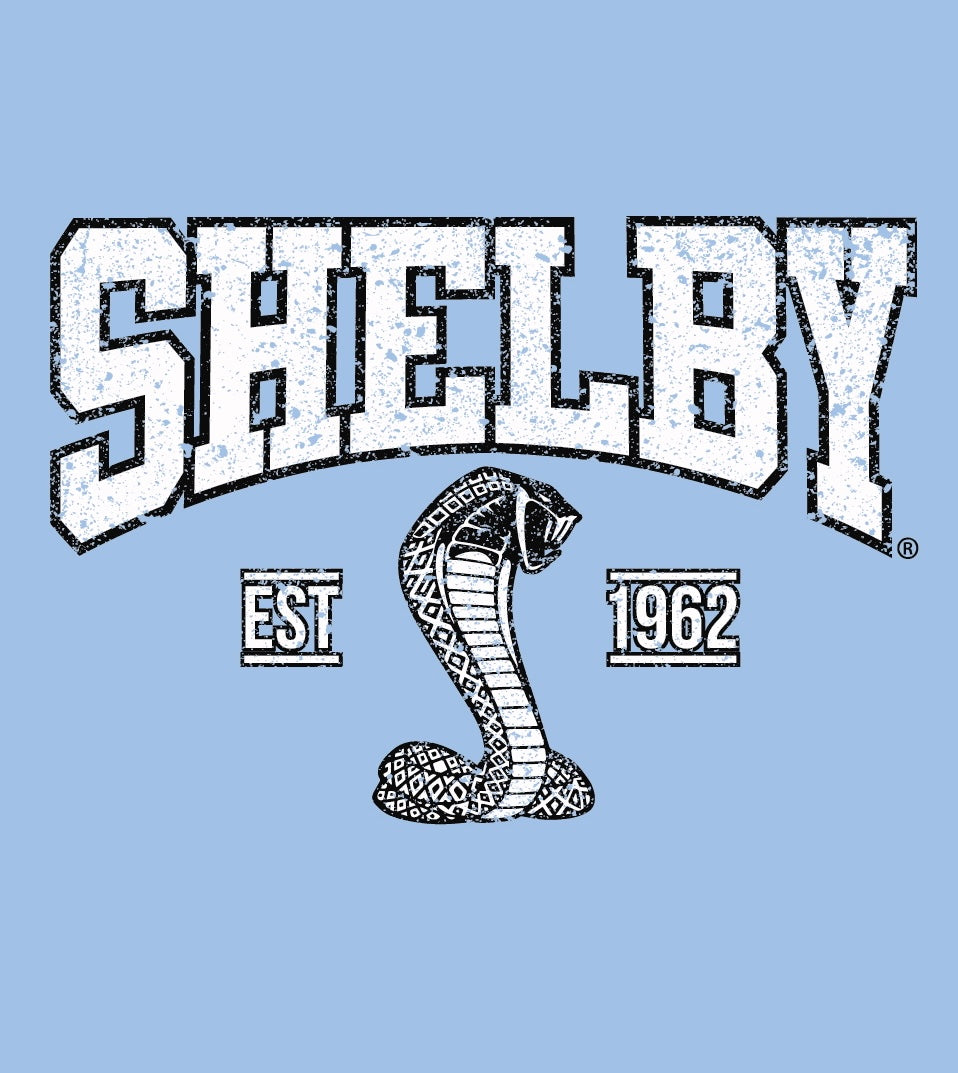 Ladies V-Neck Shelby