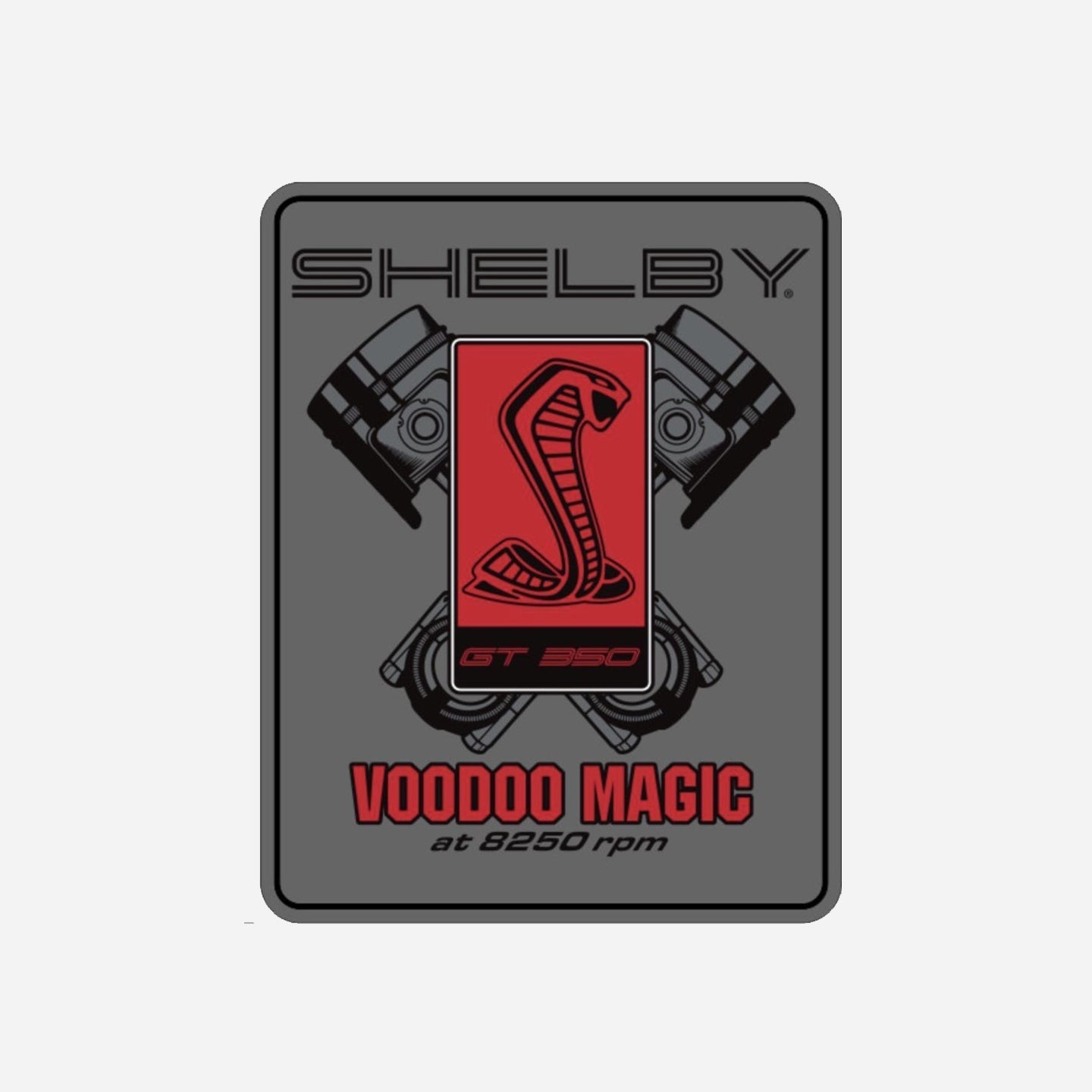11x14 Garage Sign - Voodoo Magic GT350R