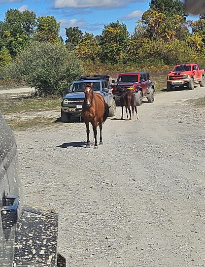 2026 Spring Trail Ride May 14th-16th 2026