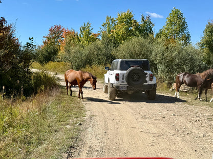 2026 Spring Trail Ride May 14th-16th 2026