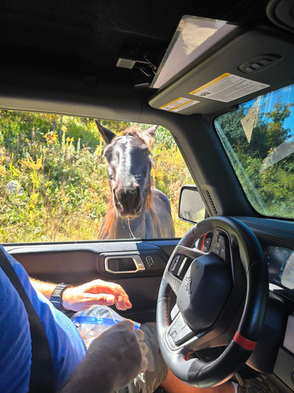 2026 Spring Trail Ride May 14th-16th 2026