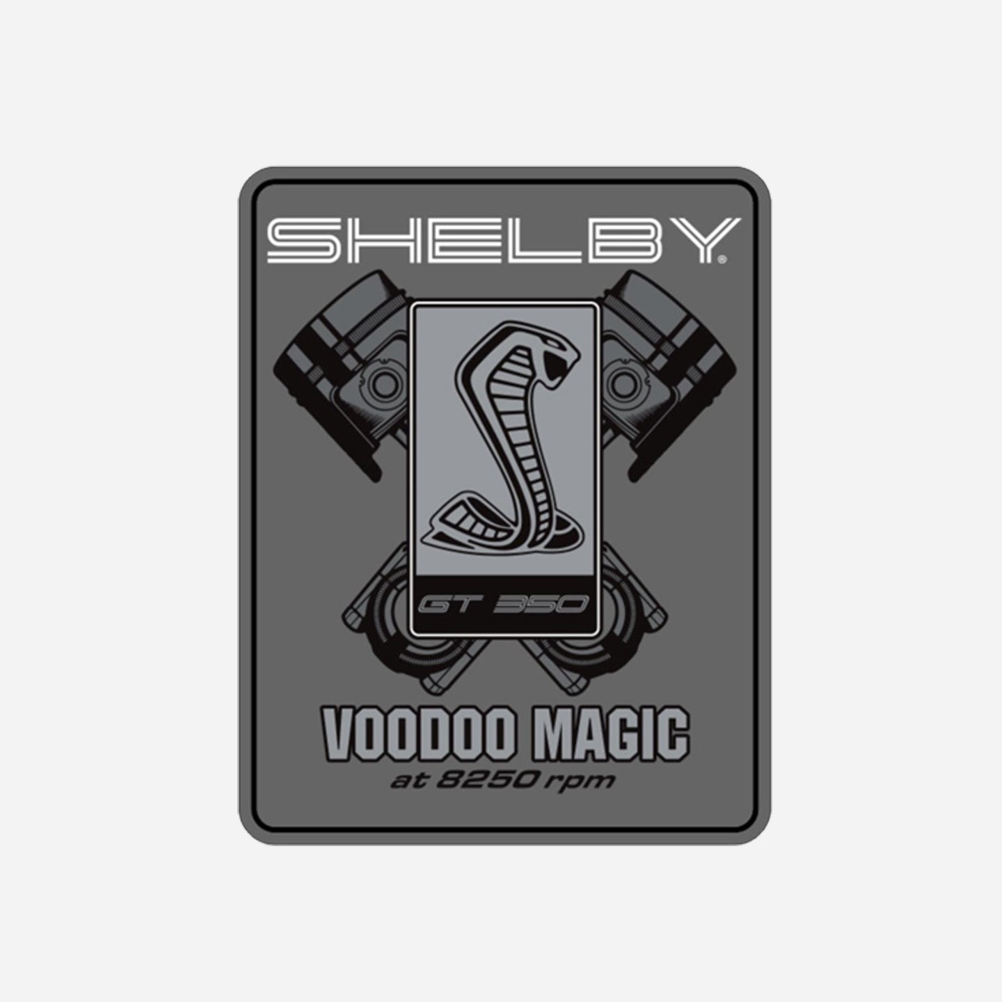 11x14 Garage Sign - Voodoo Magic GT350